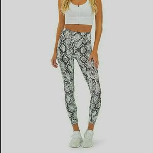 The Ascend Pant- Python